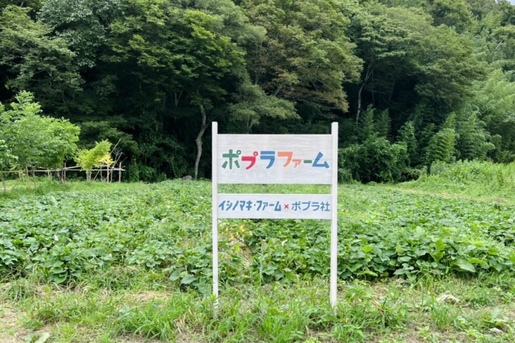 ポプラファーム