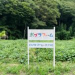 ポプラファーム